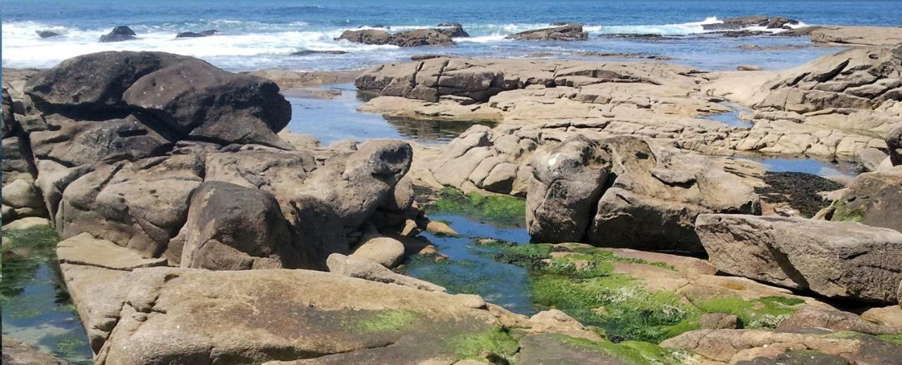 Varandas Da Sandia Vila Praia de Âncora Dış mekan fotoğraf